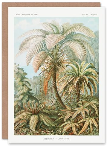 Artery8 Ernst Haeckel Art Card Tropical Nature Filicinae Fern Plants