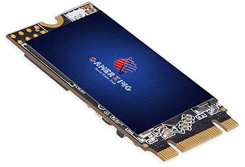 GAMERKING SSD M.2 2242 Disque dur interne haute performance NGFF pour ordinateur portable de bureau SATA III 6 Go/s M2 SSD (1 To, M.2 2242)