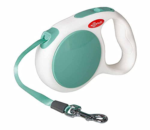 feiling Hundeleine Ausziehbare Rollleine für Kleine Hunde 3 Meter Tape Haustier Einziehbare Führleine Welpen Ausziehleine (grün)