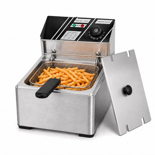 Friteuse Professionnelle 6 Litres en Acier Inoxydable