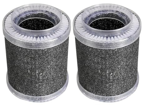 Ersatzfilter for Luftreiniger | Zur Entfernung von Luftschadstoffen und Gerüchen(2pcs)