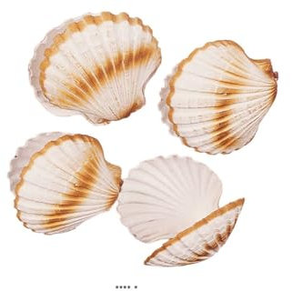 Artif-déco-mag.com - Coquille saint jacques artificielle X 4 en Plastique soufflé D 120 mm