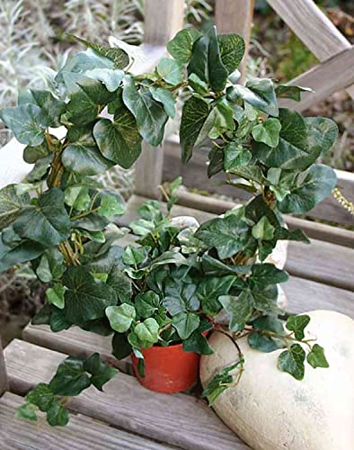 artplants.de Couronne de Lierre décorative GLADICE dans Pot décoratif, Vert, 40cm, Ø28cm - Couronne de Lierre Artificielle