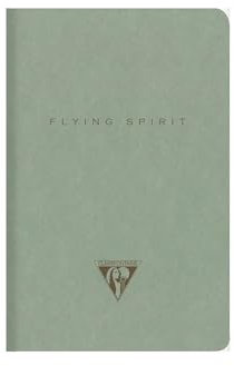 Clairefontaine 107596C - Notizheft Kladde Flying Spirit, geheftet, 9x14cm, 48 Blatt 90g elfenbeinfarbig liniert, Graugrün sortiert, 1 Stück