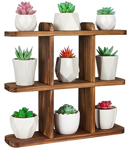 Ufine Holz Sukkulenten Pflanzenständer Fensterbank Pflanze Display Regal Kleine Holz Pflanzenständer für Desktop Karbonisierte Farbe