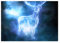 Displate Offiziell Harry Potter MetallPoster Magnetische Befestigung Inklusive Lizenziert Bilder Hochwertiges Poster Expecto Patronum! - Stag Patronus 45 cm x 32 cm