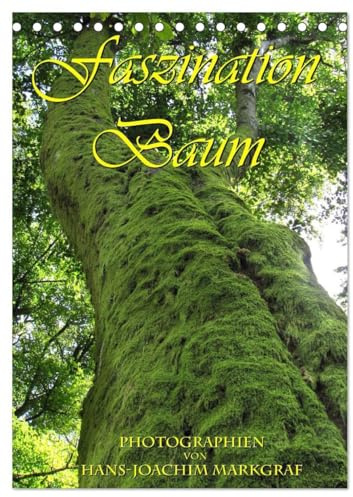 Faszination Baum (Tischkalender 2026 DIN A5 hoch), CALVENDO Monatskalender: Ausducksstarke Fotos von Baumstämmen (CALVENDO Natur)