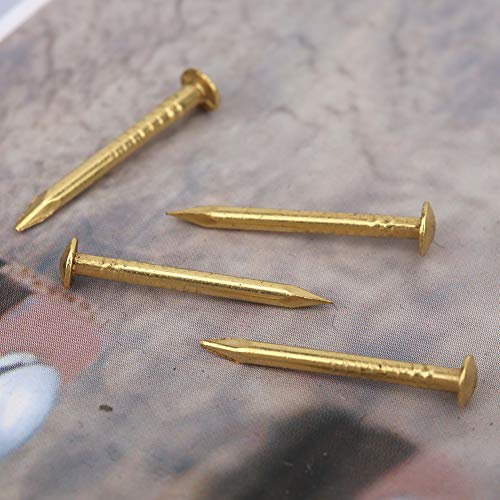 Chiodo a Testa Tonda da 100 Pezzi Chiodo Vintage in Ottone, Kit assortimento di Chiodi Hardware, Chiodini per Installazione Artigianale Fai-da-Te(18mm)