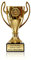 Zelaro Henkelpokal in Gold | Pokal mit Gravur Wunschtext – Trophäe in 5 Größen | Pokal Fußball | Fussball Pokal Kinder - 18 cm inkl. Marmorsockel