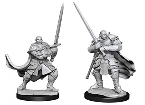 Wizkids - D&D Nolzurs Marvelous Miniatures: Half-Orc Paladin Male - Wave 15