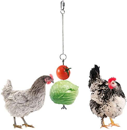IOUH Chicken Parrot bird Hanging feeder - Chicken Veggies Skewer Fruit Holder Hens Stainless Steel Feeder toy Foraging Coop Toys Bird Treat Skewer