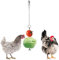IOUH Chicken Parrot bird Hanging feeder - Chicken Veggies Skewer Fruit Holder Hens Stainless Steel Feeder toy Foraging Coop Toys Bird Treat Skewer