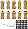 Hazrcvr Messing Wellenkupplung Wellenadapter 10 Stück Kupplung Stecker Hülse Adapter Wellenkupplung Wellen Adapter Wellenkupplung Motor Kupplung Adapter mit Schrauben Inbusschlüssel 5 Größen