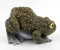 Wisifayardin Harz Frosch Kröte Statuen Gartenskulpturen Hofkunst Dekorationen für Outdoor Gärten Terrasse Rasen Schwimmende Teichfigur