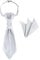 WANYING Herren Vorgebunden Plastron Krawatte & Einstecktuch 2 in 1 Set Verstellbar mit Hakenverschluß Hochzeitskrawatte auf Hochzeiten - Einfarbig Hellgrau