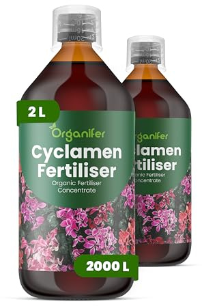 Concime liquido organico 2x1L per Cyclamen – foglie lussureggianti e fiori splendenti – Organifer