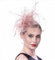 Bibi avec fleur en sinamay et plumes pour femme, Chapeau pour mariage, cocktail, fête - Rose - Medium