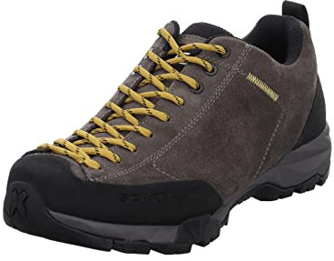Scarpa Unisex Mojito Trail GTX Hkb Salix Traillaufschuhe, Titan, 46 EU