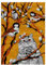AMBATTERY Tier Knüpfen Set Katze Und Spatz Latch Hook Teppich Kits Für Erwachsene Bedruckte Leinwand Häkeln Handarbeit Handwerk Teppich Kissen Matte Wandteppich 20x15in