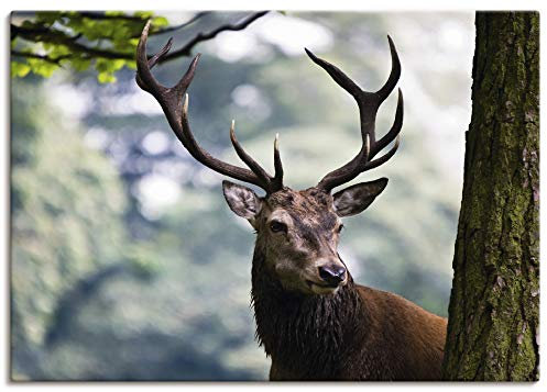 ARTLAND Wanddeko Leinwand Bilder Wandbild 100x70 cm Hirsch Geweih Wald Tiere Natur Landschaft Jäger Landhaus T0MO