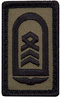 Café Viereck ® Oberstabsfeldwebel Luftwaffe Bundeswehr Rank Patch mit Dienstgrad - Gestickt mit Klett – 3 x 5 cm (Oliv mini)