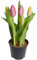 Nova-Nature künstliches Tulpenarrangement mit 5 Blütenknospen im schwarzen Kunststofftopf real Touch (Mauve), 12 x 23 cm
