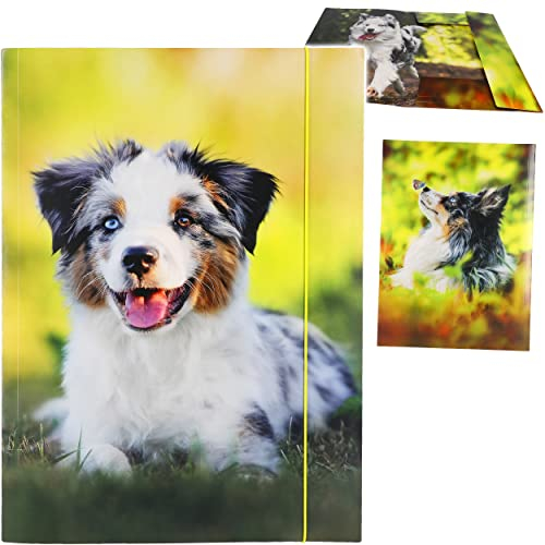 alles-meine.de GmbH große A3 - Zeichenmappe/Sammelmappe - Hund - Ordner - 44 cm - Mappe für Hefte Zeitschriften Zeichnungen - Gummizugmappe/Kinder Erwachsene Mädchen Jungen..