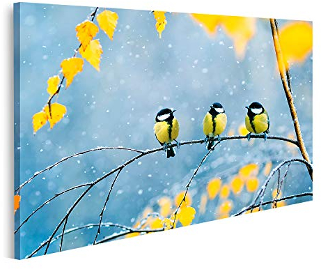islandburner Bild auf Leinwand Drei reizende Vögel Meisen Park Sitzender Zweig Br Drei reizende Vögel Meisen Park Sitzender Zweig Wandbild Leinwandbild Bilder für Wohnzimmer GDTS-1K