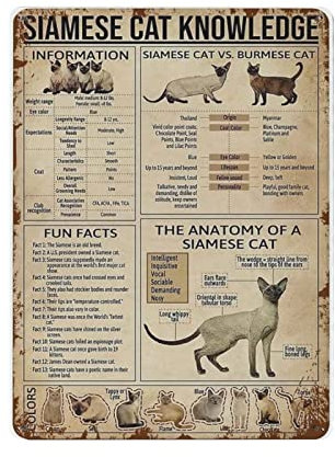 Sphynx Cat Knowledge Poster, Metallblechschild, Wandschild, Dekoration, Vintage-Retro-Schild, Eisenmalerei, Aluminiumschild für Heimdekoration, Bar, Shop, Männer, Höhle, Außenbereich, Garage, Innenb