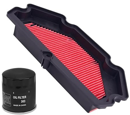 Moto di Aspirazione Filtro Aria e Filtro Olio for KAWASAKI ER6F EX650 2013-2016 ER6N ER650 ABS 11013-0713 ER 6F 6N 650 (Color : Air and Oil Filter)