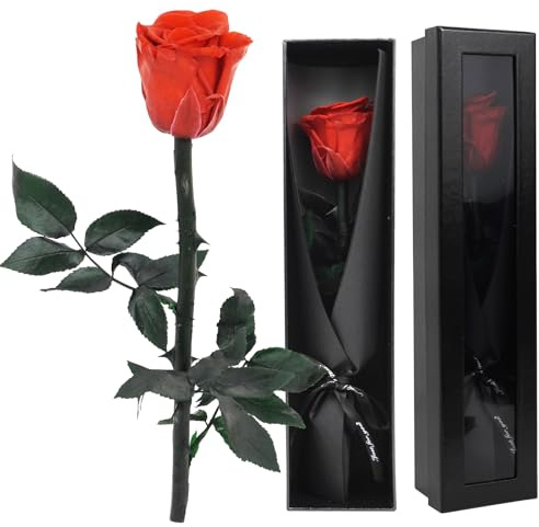 ZephyrCraft Eternal Real Rose in Gift Box, Preserved Flowers with Stem Real Rose Fresh Flower Gifts for Her Girlfriend Wife Valentine's Day Mother's Day