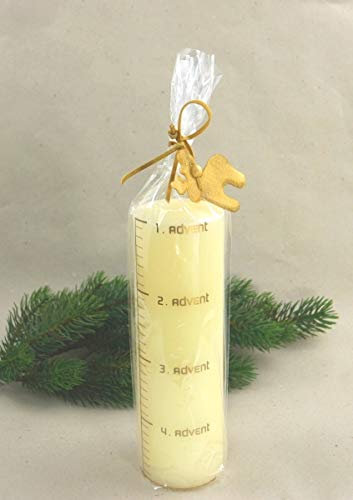 Unbekannt Kerze Weinachtskerze Altarkerze Advent Creme/Gold 23 cm Weihnachten