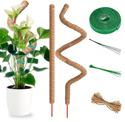 RYHX 2 Pack 60cm Moosstab, Monstera Rankhilfe, Biegsame Moosstab für Monstera mit Zubehör, Pflanzenstab Kokosstab für Rankhilfe Zimmerpflanzen Pflanzenstütze