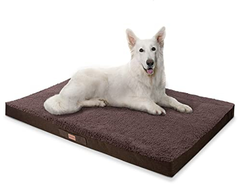 brunolie Balu Hundebett in Dunkelbraun, waschbar, orthopädisch und rutschfest, kuscheliges Hundekissen mit atmungsaktivem Memory-Schaum, Größe XXL (120 x 100 x 10 cm) Braun