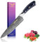 VINNAR Damascus Kitchen Knife 8 Inch, Japanese VG-10 Super Stainless Steel Professional High Carbon Super Sharp Kitchen Cooking Knife, Ergonomic Blue G10 Handle
