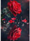 KEYIFA 5D Rote Rosen Diamond Painting Set, DIY Vollbohrer Basteln Bilder Rosen Diamond Painting mit ZubehöR, Crystal Art Foto Diamond Painting FüR Erwachsene, Home Wand Dekor 30x40CM