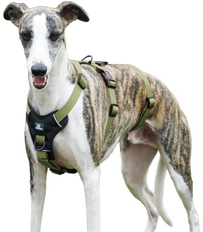 Paworld Sicherheitsgeschirr Hund, Anti Zug Hundegeschirr, Panikgeschirr für Hunde, Ausbruchsicheres Geschirr Hund, Verstellbare, Atmungsaktiv Weste für kleine, mittelgroße und große Hunde (Grün,S)
