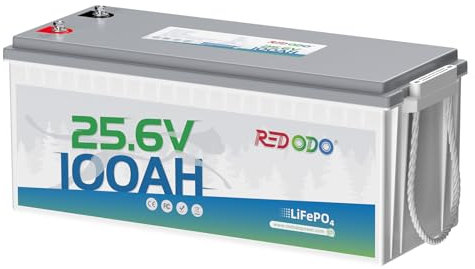 Redodo 24V 100Ah Batteria Litio, LiFePO4 Batteria BMS 100A Integrato, Batterie Ricaricabili 4000+ Cicli, Potenza di Carica Massima 2560W, per RV, Campeggio-Auto, Barche