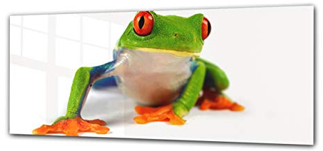 ConceptCrystal Glasbild Wandkunstwerk 125 x 50 cm – Herr Frosch