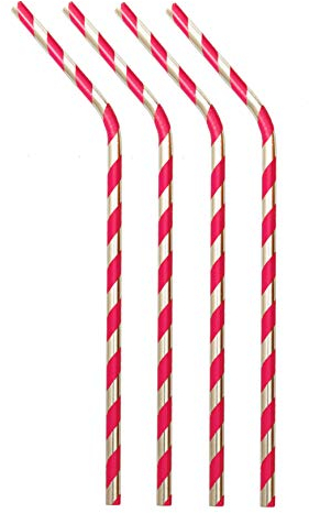 Reusable Straws (Red Stripes Pack of 4)