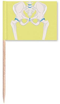 Hip Becken Lucky Illustration Zahnstocher Flags Marker Topper Party Dekoration