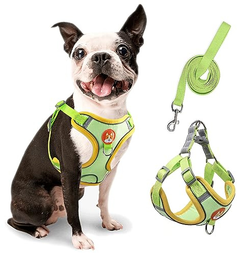 rennaio Hundegeschirr Kein Ziehen, Verstellbares Welpengeschirr mit 2 Leinenclips, Reflektierendes Hundegeschirr und Leine Set für kleine und mittelgroße Hunde (Grün, M)