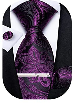 DiBanGu Purple Paisley Mens Tie Silk Necktie and Pocket Square Cufflinks Tie Clip Set Jacquard Woven Classic Formal Ties for Wedding