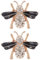 PACKOVE Schuhclips Mit Strasssteinen - Dekorative Exquisite Strass Schuhdekoration Abnehmbar Für High Heels