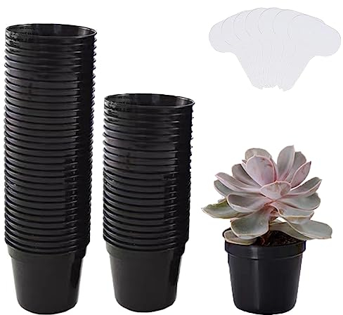 Qikaara Kunststoff Pflanztöpfe 6.7 cm Schwarz, 30 Stück weicher Plastik Pflanztopf Blumentöpfe für Pflanzen Sämlinge Anzuchttöpfe Saattöpfe Rund Klein mit Pflanzenschilder