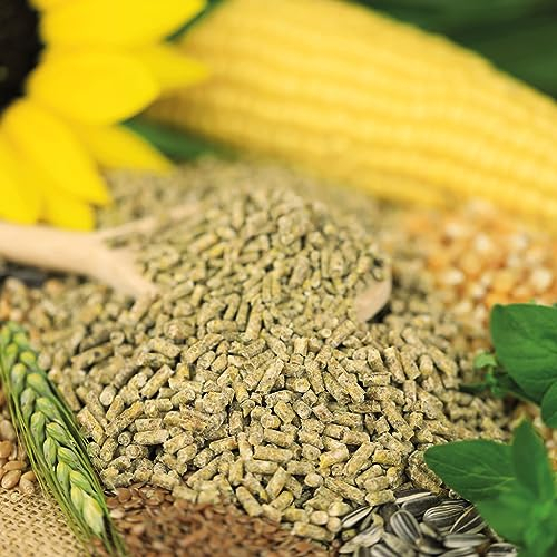 CHICKEN GOLD Naturnahes Hühnerfutter ChickenGold Sommerkorn Zwerghuhn (25kg)