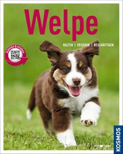 Welpe: Halten, erziehen, beschäftigen (Mein Tier)