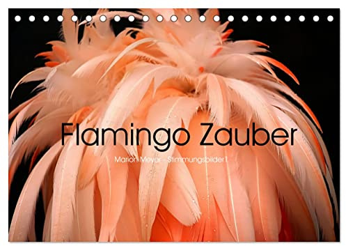Flamingo Zauber (Tischkalender 2026 DIN A5 quer), CALVENDO Monatskalender: Wilde Flamingos in leuchtenden Farben begeistern jeden Naturliebhaber (CALVENDO Tiere)