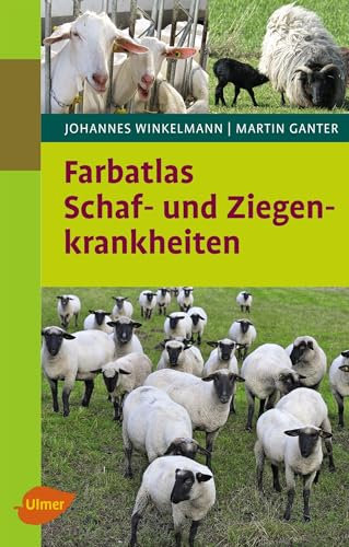 Schaf- und Ziegenkrankheiten (Patient Tier)