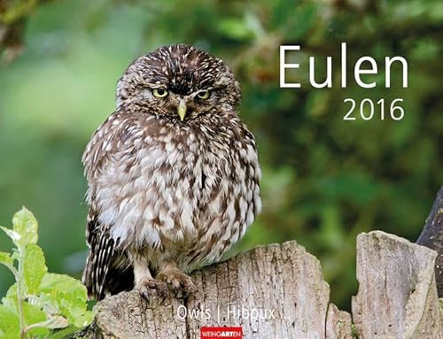 Eulen 2016